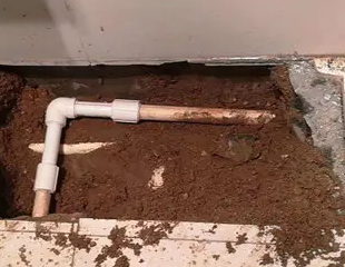 正定测漏水哪家好